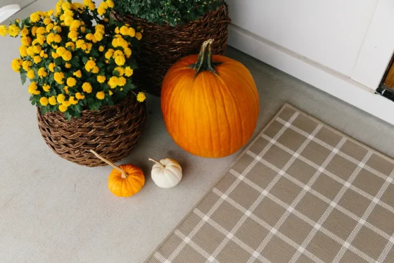 a fall rug on a festive porch