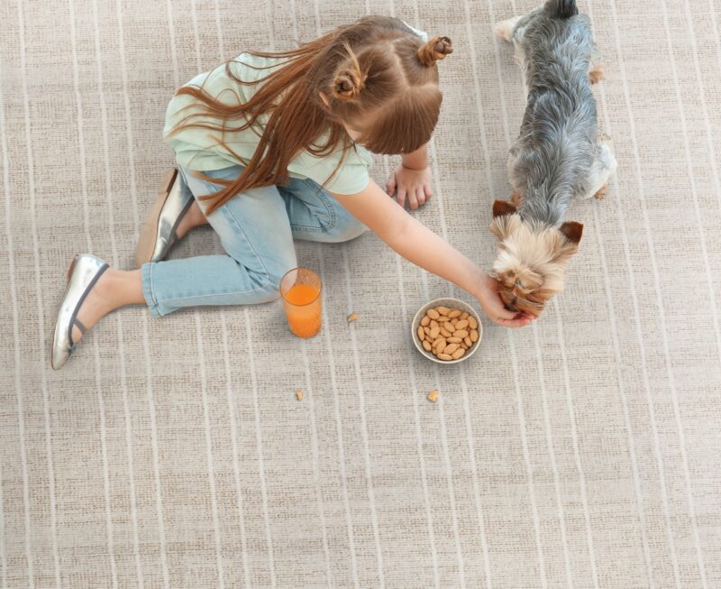 girl and dog on poly silk carpet