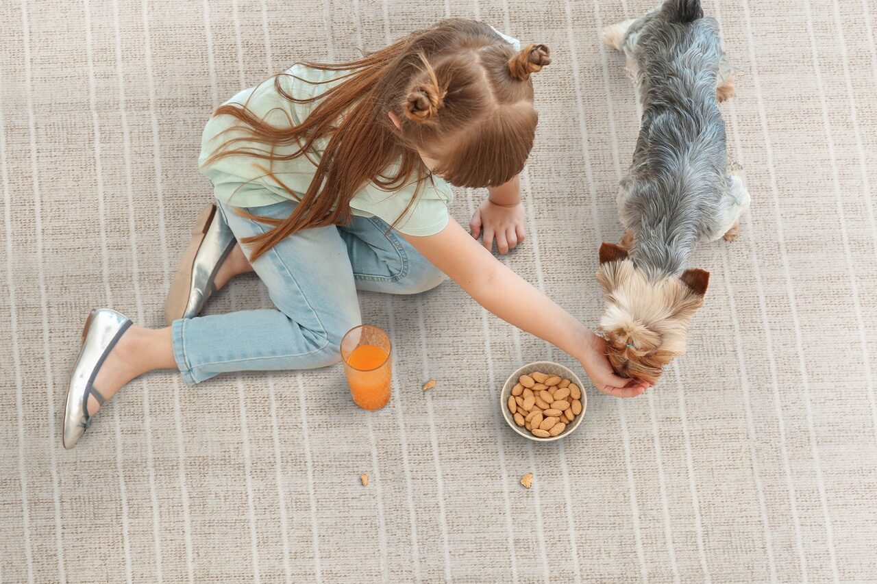 girl and dog on poly silk carpet