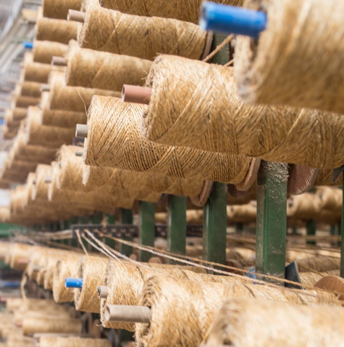 Sisal yarns on spools.