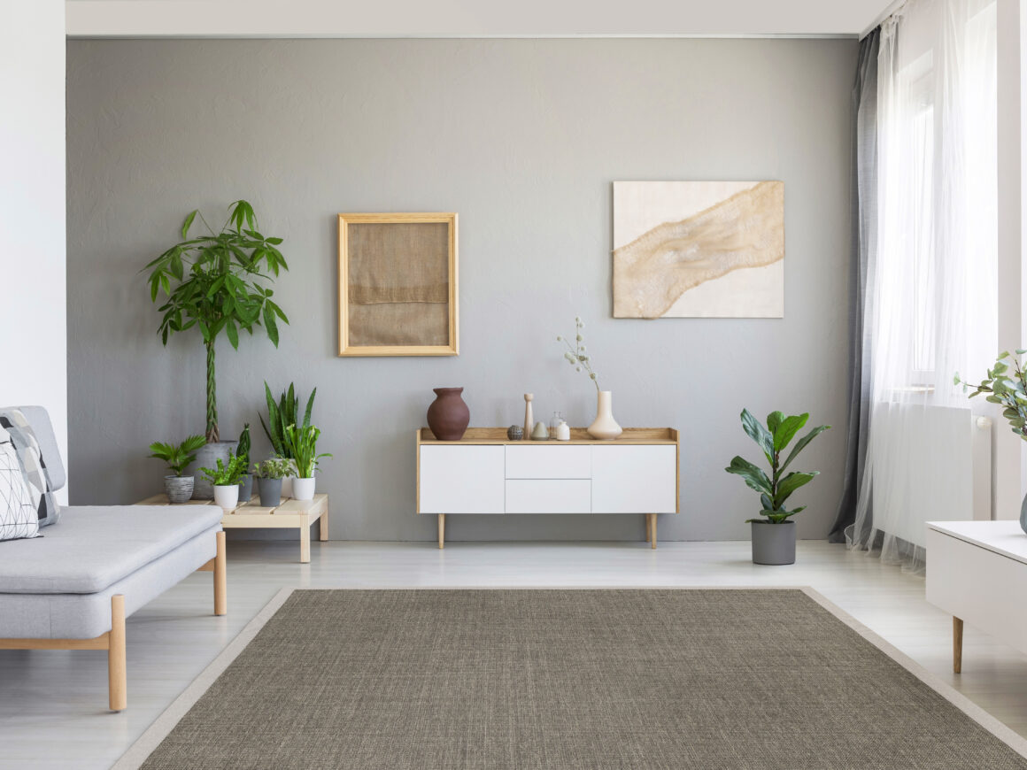 EarthSISAL™ area rug in color birch in minimalist living room.