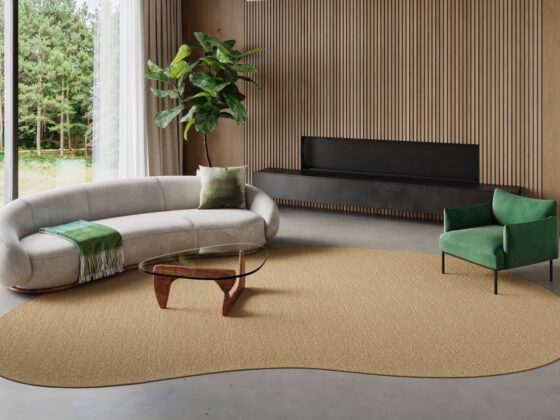 synsisal organic shaped rug in living room