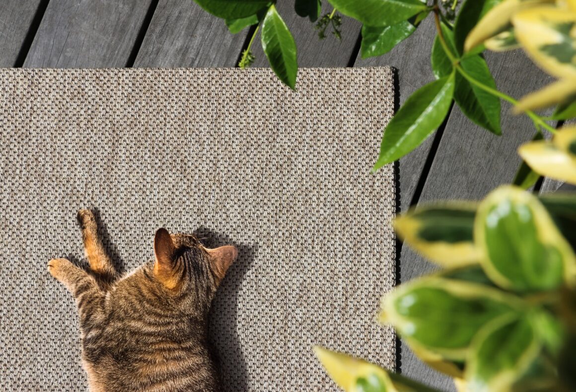 image links to the rug bowen on sisalcarpet.com